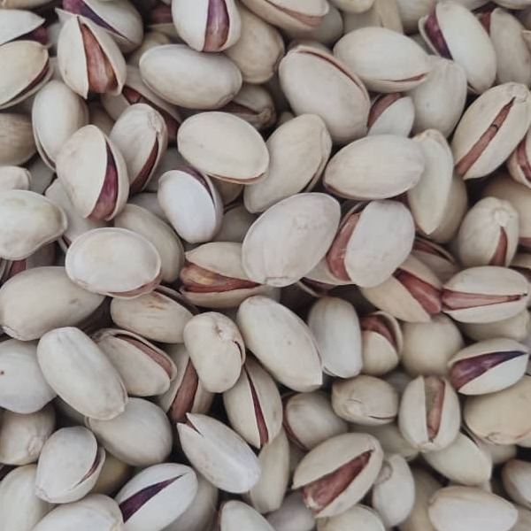 Iranian Pistachios | Ahmad Aghaei, Akbari, Fandoghi, Badami